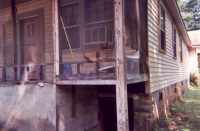 Bears Attacked Cabin Looking for Food