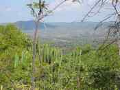 A View from the Surrounding Mountains