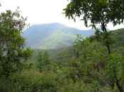 Another View from the Surrounding Mountains