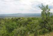 View of the Plain