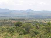 Another View of the Plain