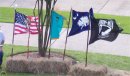 Native Americans Are Patriotic